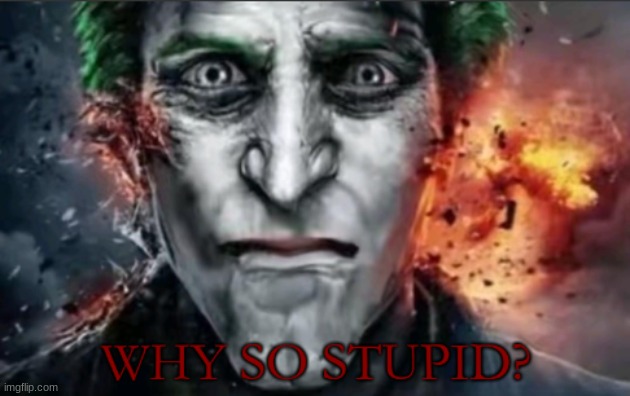 Why so stupid | image tagged in why so stupid | made w/ Imgflip meme maker