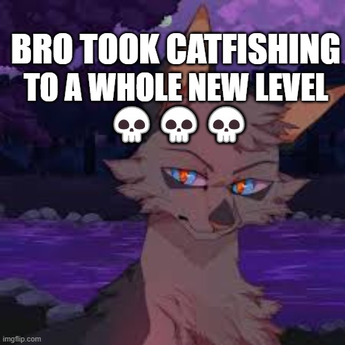 Ashfur | BRO TOOK CATFISHING; TO A WHOLE NEW LEVEL
 💀💀💀 | made w/ Imgflip meme maker