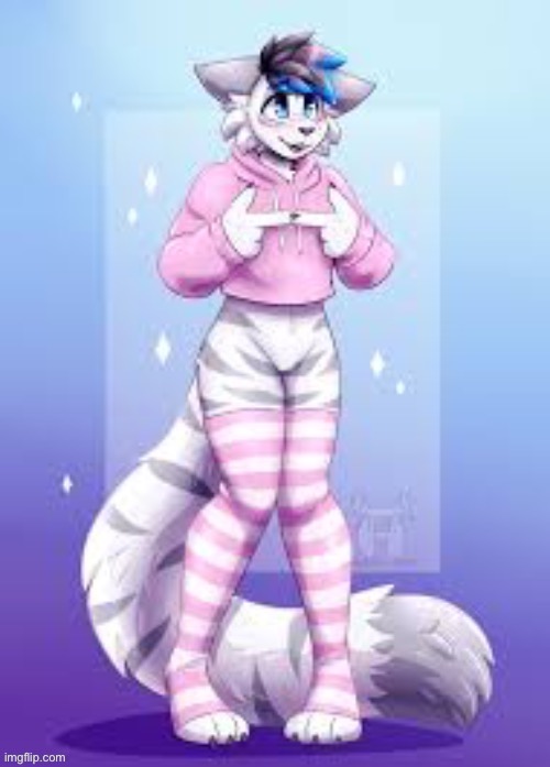 Femboy furry | image tagged in femboy furry | made w/ Imgflip meme maker