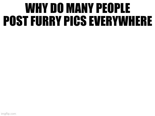 WHY DO MANY PEOPLE POST FURRY PICS EVERYWHERE | made w/ Imgflip meme maker