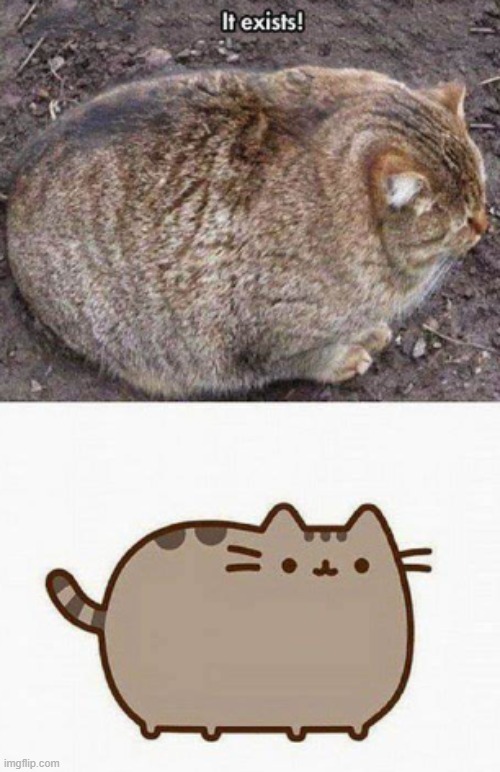 image tagged in pusheen | made w/ Imgflip meme maker