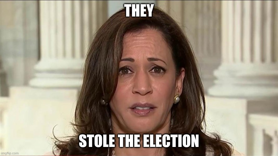 kamala harris | THEY; STOLE THE ELECTION | image tagged in kamala harris | made w/ Imgflip meme maker