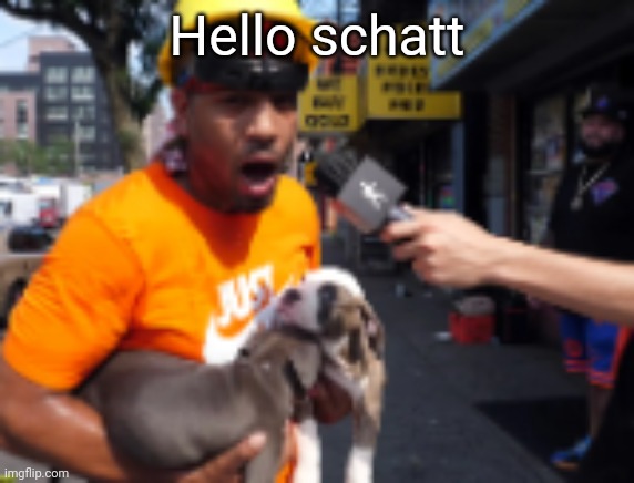 bingbong | Hello schatt | image tagged in bingbong | made w/ Imgflip meme maker