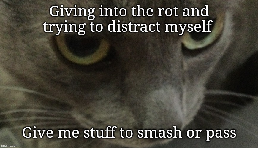 Sweetie | Giving into the rot and trying to distract myself; Give me stuff to smash or pass | image tagged in sweetie | made w/ Imgflip meme maker