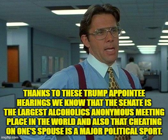 We knew this before but now we KNOW it. | THANKS TO THESE TRUMP APPOINTEE HEARINGS WE KNOW THAT THE SENATE IS THE LARGEST ALCOHOLICS ANONYMOUS MEETING PLACE IN THE WORLD AND ALSO THAT CHEATING ON ONE'S SPOUSE IS A MAJOR POLITICAL SPORT. | image tagged in that would be great | made w/ Imgflip meme maker