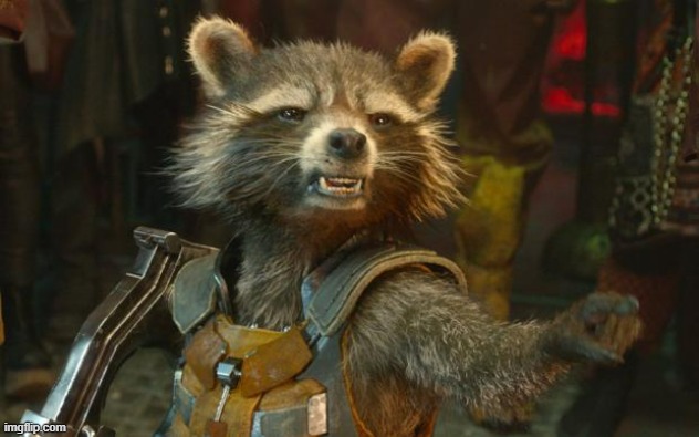 Rocket Raccoon | image tagged in rocket raccoon | made w/ Imgflip meme maker