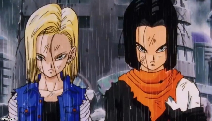 android 18 and 17 | image tagged in android 18 and 17 | made w/ Imgflip meme maker