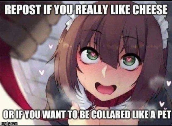 Collar me~ | image tagged in collar me | made w/ Imgflip meme maker