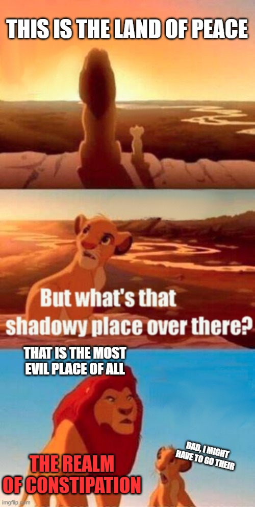 Simba Shadowy Place Meme | THIS IS THE LAND OF PEACE; THAT IS THE MOST EVIL PLACE OF ALL; DAD, I MIGHT HAVE TO GO THEIR; THE REALM OF CONSTIPATION | image tagged in memes,simba shadowy place | made w/ Imgflip meme maker