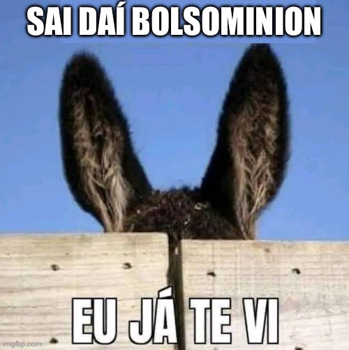 Bolsominion bolsonaro | SAI DAÍ BOLSOMINION | image tagged in bolsonaro,direita,extrema direita,pl,liberal,uniao brasil | made w/ Imgflip meme maker