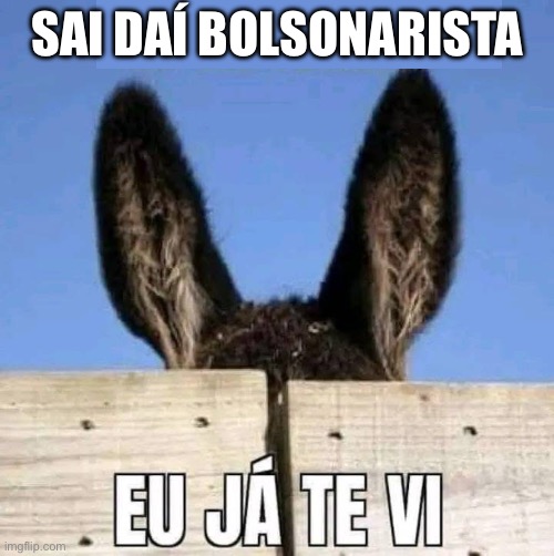 Bolsominion burro | SAI DAÍ BOLSONARISTA | image tagged in bolsominion,burro,bolsonarista,direita,golpista | made w/ Imgflip meme maker