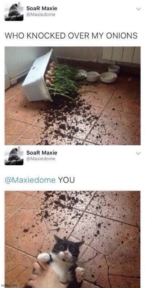 IT WAS YOU | made w/ Imgflip meme maker