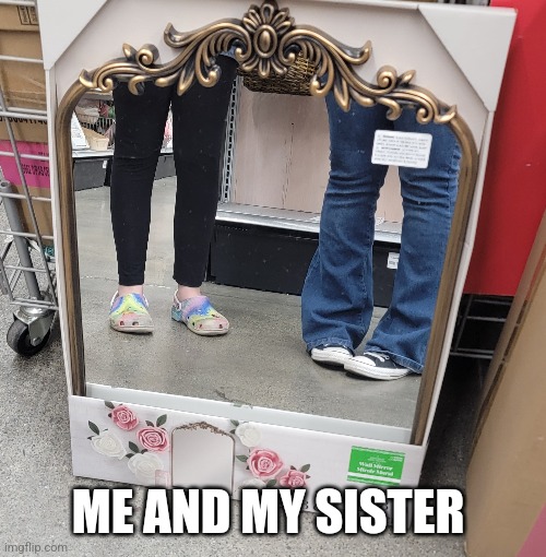 ME AND MY SISTER | made w/ Imgflip meme maker