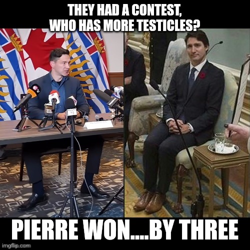 Trudeau | THEY HAD A CONTEST, WHO HAS MORE TESTICLES? PIERRE WON....BY THREE | image tagged in canada,politics,justin trudeau | made w/ Imgflip meme maker