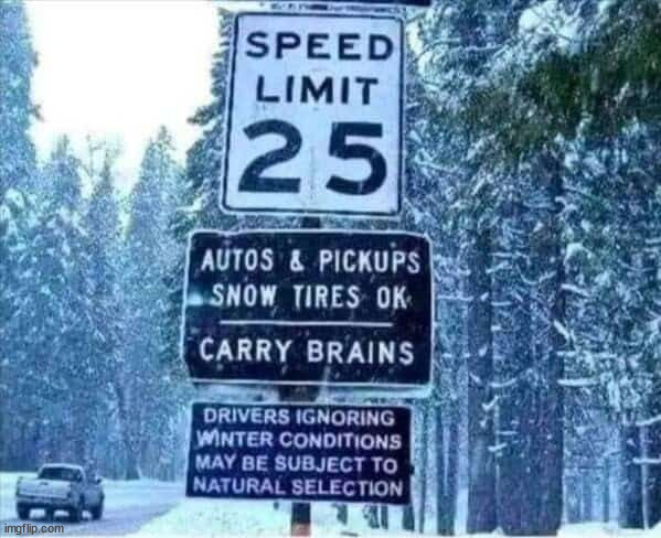 yes... brains are critical to winter driving... make sure to carry some | image tagged in memes,winter driving,warning | made w/ Imgflip meme maker