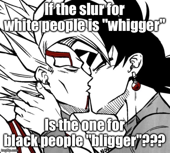 Evil dbz sequel yaoi | If the slur for white people is "whigger"; Is the one for black people "bligger"??? | image tagged in evil dbz sequel yaoi | made w/ Imgflip meme maker