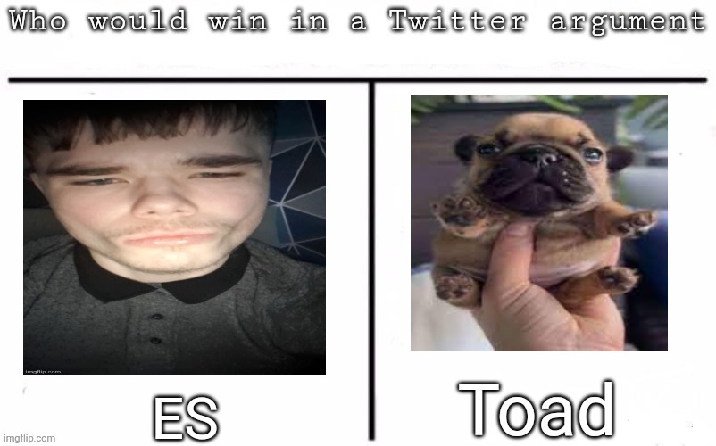 Pitting random mfs against each other | Toad; ES | image tagged in pitting random mfs against each other,msmg,memes | made w/ Imgflip meme maker