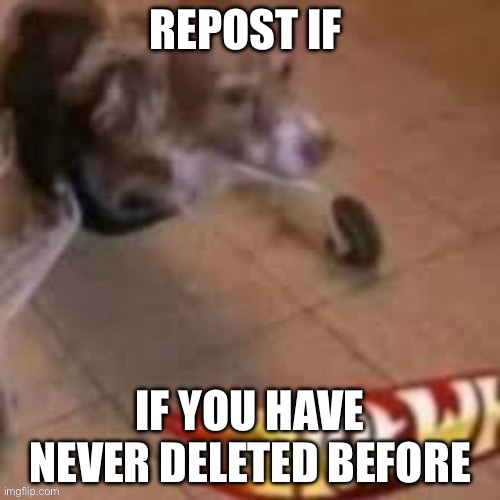 REPOST IF; IF YOU HAVE NEVER DELETED BEFORE | made w/ Imgflip meme maker