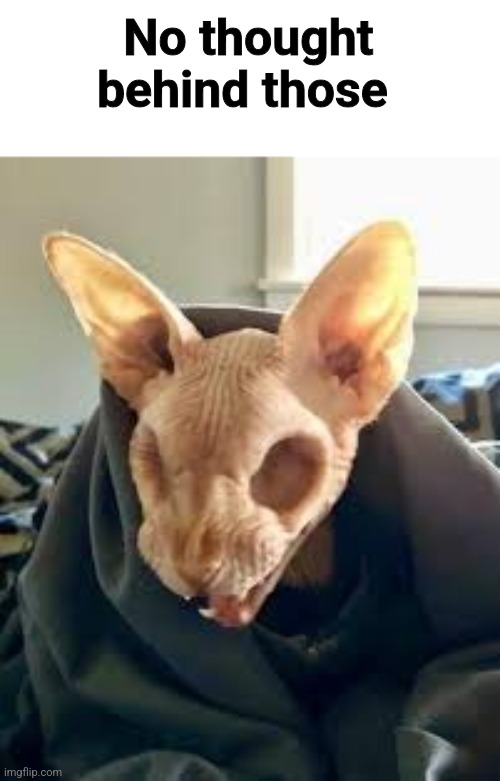 No thought behind those | made w/ Imgflip meme maker