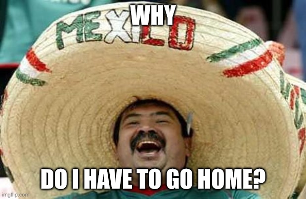 Mexico | WHY; DO I HAVE TO GO HOME? | image tagged in mexico | made w/ Imgflip meme maker