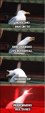 duck | NOTICING FAN ON TG; DISCOVERING ITS POTENTIAL; SIGNING UP; PERFORMING ALL TASKS | image tagged in duck | made w/ Imgflip meme maker