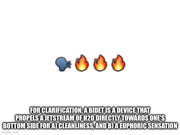 Blank White Template | 🗣️ 🔥 🔥 🔥; FOR CLARIFICATION, A BIDET IS A DEVICE THAT PROPELS A JETSTREAM OF H2O DIRECTLY TOWARDS ONE'S BOTTOM SIDE FOR A) CLEANLINESS, AND B) A EUPHORIC SENSATION | image tagged in blank white template | made w/ Imgflip meme maker