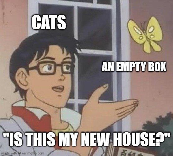 If cat fits, cat sits | CATS; AN EMPTY BOX; "IS THIS MY NEW HOUSE?" | image tagged in memes,is this a pigeon | made w/ Imgflip meme maker