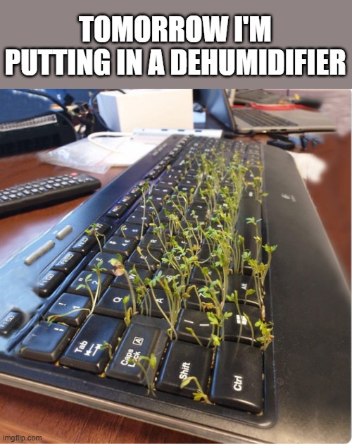 memes by Brad - tomorrow I'm putting in a humidifier for my computer - humor - | TOMORROW I'M PUTTING IN A DEHUMIDIFIER | image tagged in gaming,computer,pc gaming,video games,funny,repair | made w/ Imgflip meme maker