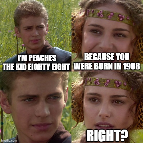 Anakin Padme 4 Panel | I'M PEACHES THE KID EIGHTY EIGHT; BECAUSE YOU WERE BORN IN 1988; RIGHT? | image tagged in anakin padme 4 panel | made w/ Imgflip meme maker