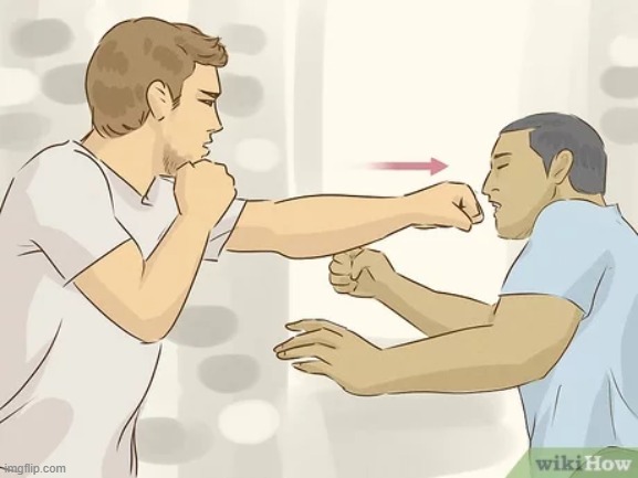 How to Be Good at Fist Fighting: 12 Steps (with Pictures) | image tagged in how to be good at fist fighting 12 steps with pictures | made w/ Imgflip meme maker