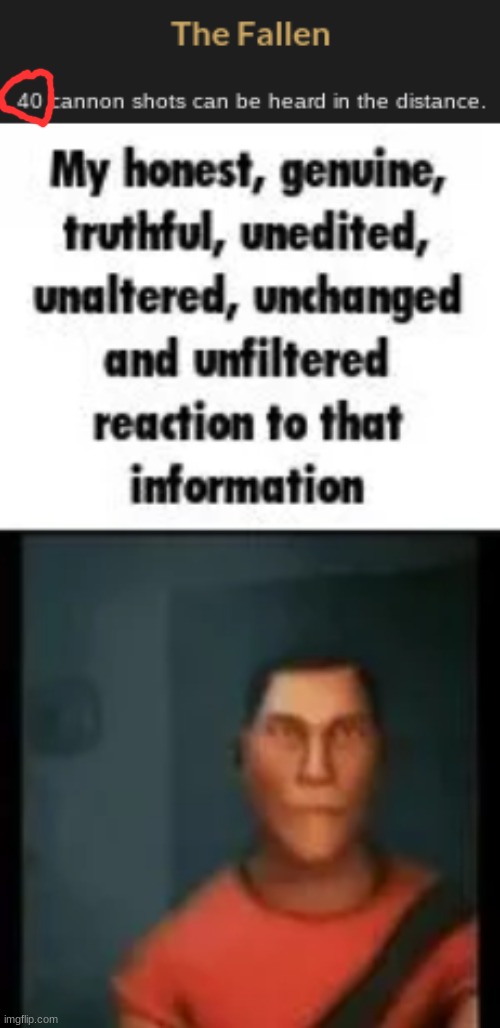 40 whole ass mfs died | image tagged in scout reaction | made w/ Imgflip meme maker