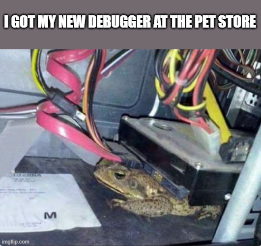 memes by Brad - I got my new debugger at the pet store - humor | I GOT MY NEW DEBUGGER AT THE PET STORE | image tagged in funny,gaming,pc gaming,computer,frog,humor | made w/ Imgflip meme maker