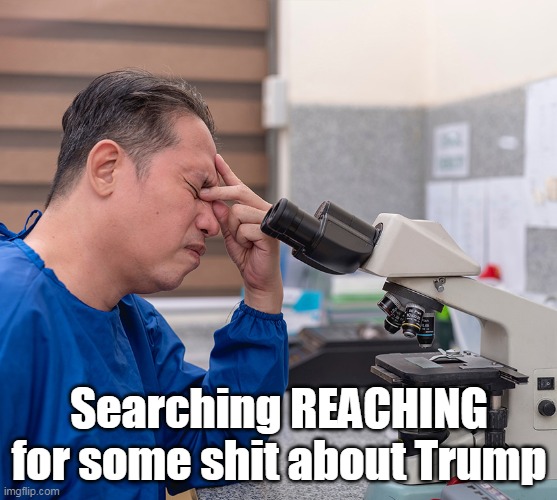 Searching REACHING for some shit about Trump | made w/ Imgflip meme maker