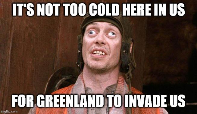 Steve Buschemi Crazy Euws | IT'S NOT TOO COLD HERE IN US FOR GREENLAND TO INVADE US | image tagged in steve buschemi crazy euws | made w/ Imgflip meme maker