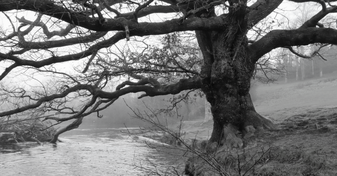 Horseshoe Falls, Llangollen, Wales. 17.1.2025. 3/5 Blank Meme Template