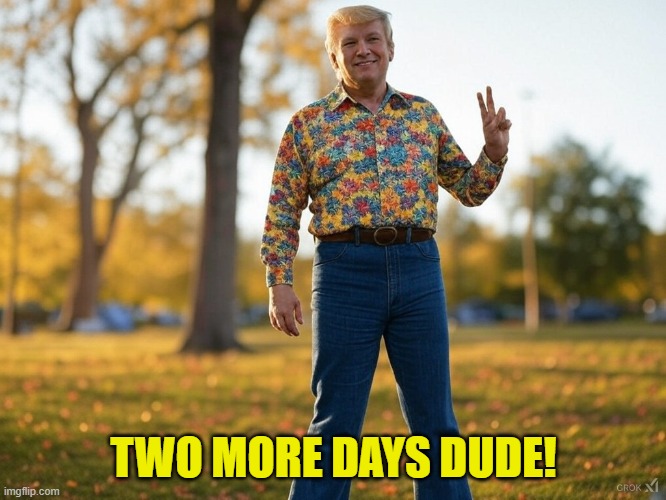 Two more days | TWO MORE DAYS DUDE! | image tagged in trump,trump inauguration,inauguration,maga,peace,national debt | made w/ Imgflip meme maker