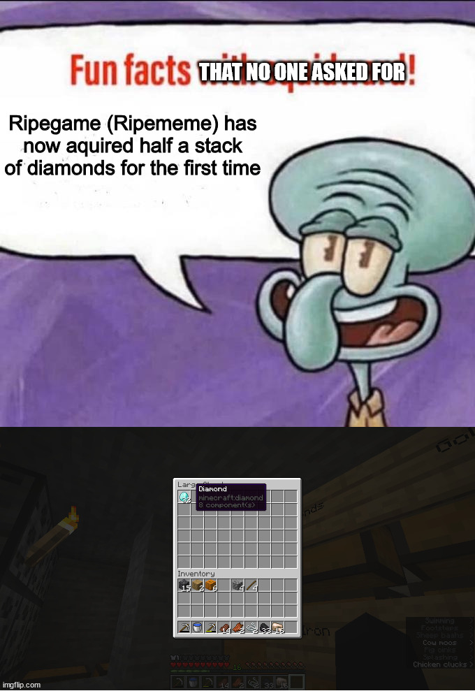 yay | THAT NO ONE ASKED FOR; Ripegame (Ripememe) has now aquired half a stack of diamonds for the first time | image tagged in fun facts with squidward,minecraft,diamonds,no one asked | made w/ Imgflip meme maker