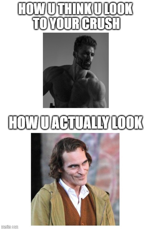 beauty is in the eye of the beholder | image tagged in looks,giga chad,joaquin phoenix | made w/ Imgflip meme maker