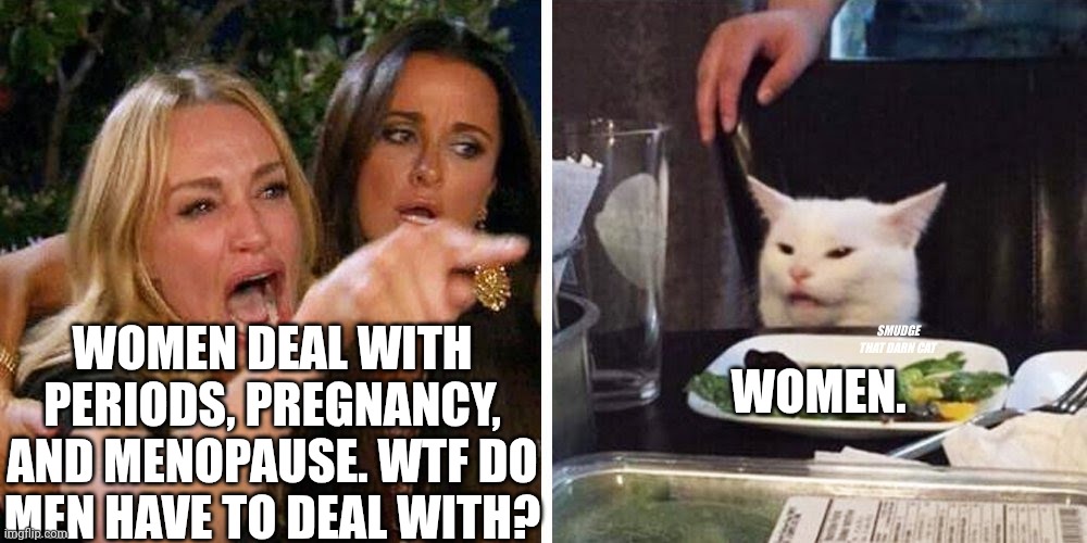 Smudge that darn cat with Karen | WOMEN DEAL WITH PERIODS, PREGNANCY, AND MENOPAUSE. WTF DO MEN HAVE TO DEAL WITH? WOMEN. | image tagged in smudge that darn cat with karen | made w/ Imgflip meme maker