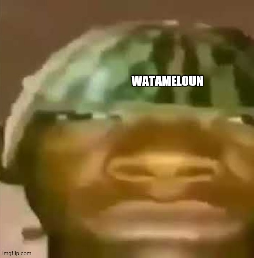 Watameloun | WATAMELOUN | image tagged in shitpost,watermelon | made w/ Imgflip meme maker