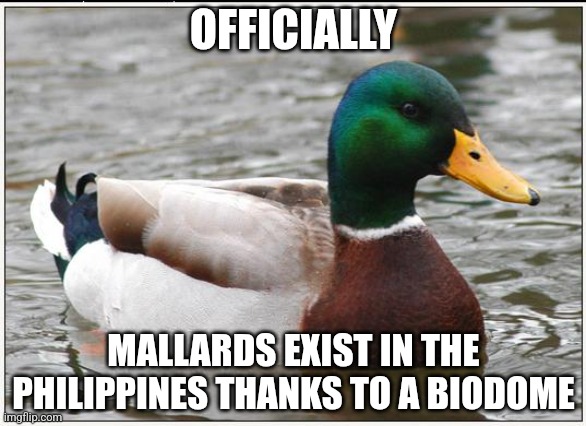 Actual Advice Mallard | OFFICIALLY; MALLARDS EXIST IN THE PHILIPPINES THANKS TO A BIODOME | image tagged in memes,actual advice mallard | made w/ Imgflip meme maker