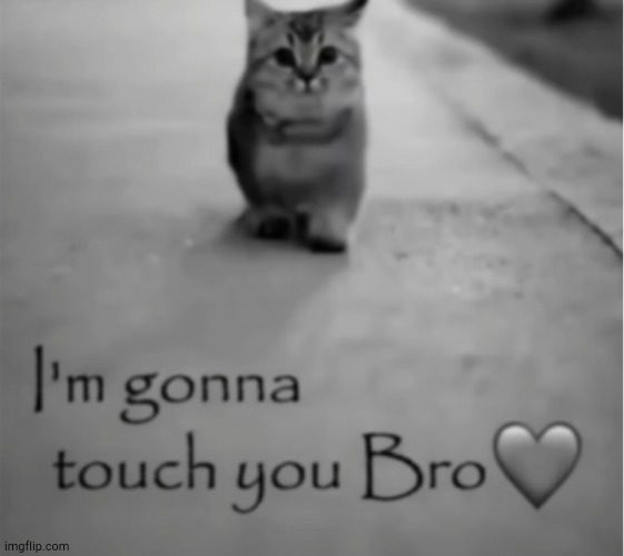 Pls no | image tagged in im gonna,touch,you,bro | made w/ Imgflip meme maker