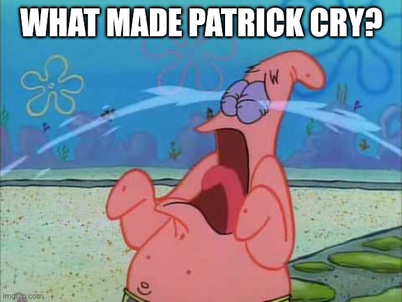 Patrick Star Crying. | WHAT MADE PATRICK CRY? | image tagged in patrick star crying,memes | made w/ Imgflip meme maker