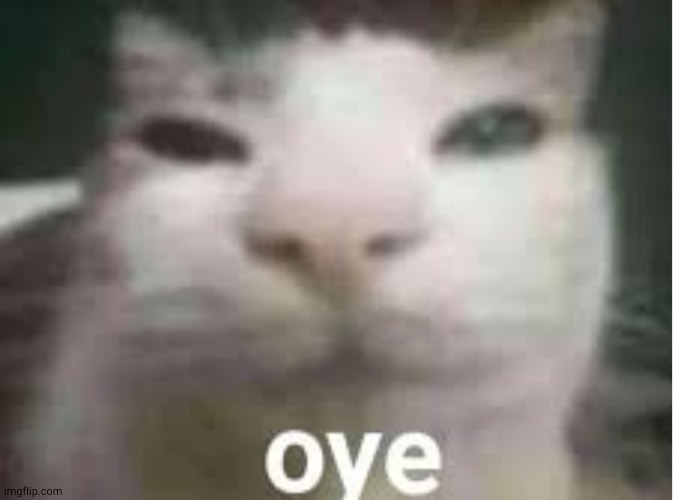 Oye | image tagged in oye | made w/ Imgflip meme maker