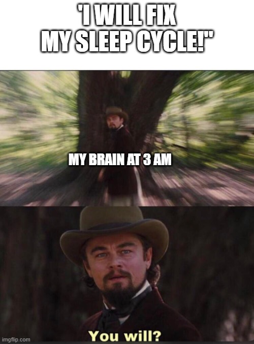 yeah no LOL | 'I WILL FIX
MY SLEEP CYCLE!"; MY BRAIN AT 3 AM | image tagged in you will leonardo django,insomnia,i don't need sleep i need answers | made w/ Imgflip meme maker