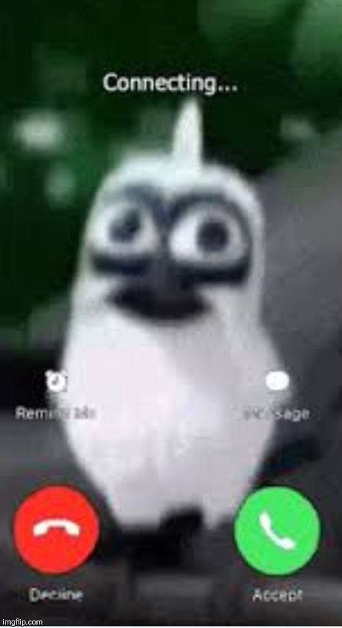 WHO TF CALLING ME WHO IS YOU | image tagged in birb,phone call,me | made w/ Imgflip meme maker