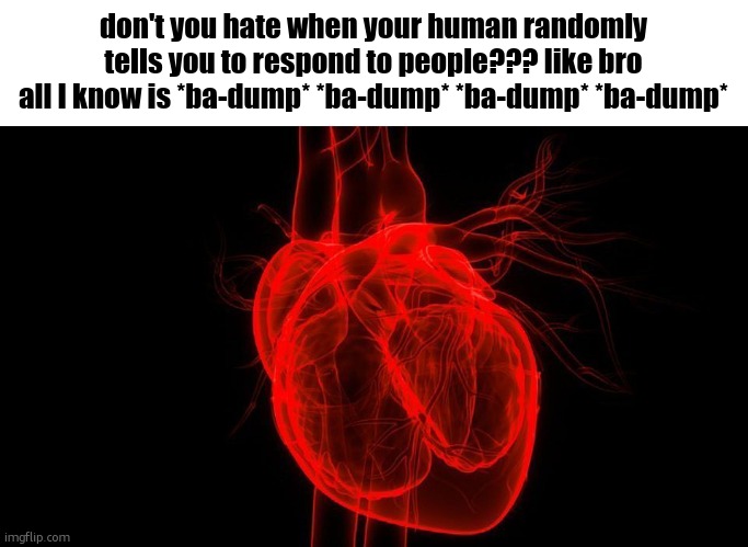 Message from your heart | don't you hate when your human randomly tells you to respond to people??? like bro all I know is *ba-dump* *ba-dump* *ba-dump* *ba-dump* | image tagged in human heart,funny,emotions,sfw,memes,heart | made w/ Imgflip meme maker