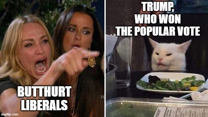 Angry lady cat | BUTTHURT
LIBERALS TRUMP,
WHO WON
THE POPULAR VOTE | image tagged in angry lady cat | made w/ Imgflip meme maker