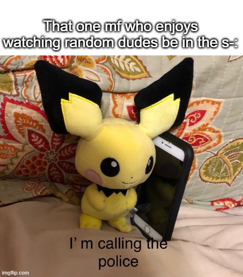 Sadoholics be like: | That one mf who enjoys watching random dudes be in the s-: | image tagged in i m calling the police,pichu,memes,funny,cops,sadism | made w/ Imgflip meme maker