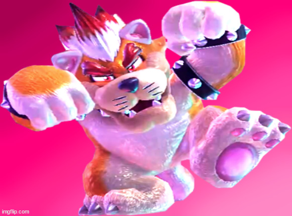 bowser cat Blank Meme Template